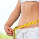 와이필라앤피티 이미지