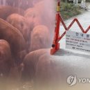 진범이네 농장 이미지