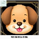 용산동 한국전력 맞은편 | 성내동 애견카페 포포앤미루 가격 및 후기 추천 리뷰 주차 예약 알아볼까요