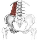 헬스보이짐 앤 필라걸 용문역점 이미지