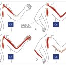 명지더나음한의원 이미지