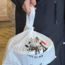 통뼈예찬 이미지