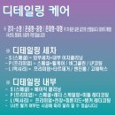 디테일링 데이 이미지