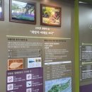 성밖숲정보센터 이미지