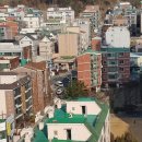 남초탕 이미지