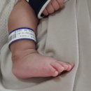 성서병원 이미지