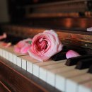 세상에서 제일 아름다운 피아노 명곡 이미지