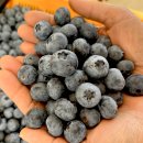 올래농장 이미지