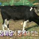 동량초 하천분교 이미지