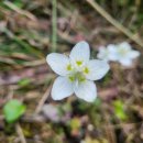 대 덕 사 이미지