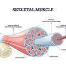 짐매스 2호점 이미지