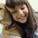 평촌동물병원 이미지