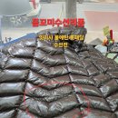 김해점잇미샤 | 불에탄 롱패딩 수선