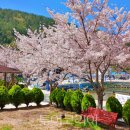 궁항어촌체험휴양마을 이미지