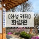 진동너와촌뜰사랑채 | [화성 카페] 야외 뜰이 넓고 예뻐서 눈도 정화되고 힐링되는 한옥 카페 &#34;화림원&#34;
