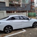 내돈 내산 아반떼 CN7 시승기 장거리 연비와 솔직 후기