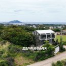 제주도푸른바다2민박