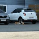 태봉로R | 크지 않아도 충분히 빛났던 나의 가을