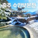 수주팔봉펜션 | 충주 수안보파크 호텔 노천탕 수안보온천 후기 주변 가볼만한곳