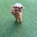 멍돌하우스 이미지