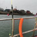 해광 | 해광유선 인천 쭈꾸미낚시 후기/밴댕이회무침거리/이색데이트 추천