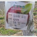 (주)사과나무 이미지