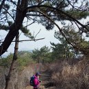 내서읍705 | 마산 창원의 진산 무학산