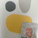 뷰티 앤 독 이미지