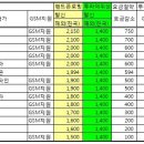 위성휴대전화(Thuraya)와 핸드폰 로밍 비교표 이미지