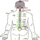 쑥뜸의 혈자리 이미지