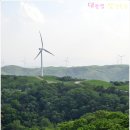 하늘아래목장 이미지