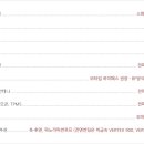 루마버텍스