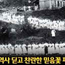 배정면 이미지