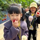 남성초교 병설 유치원 이미지