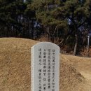 박강 묘역 및 석물 이미지