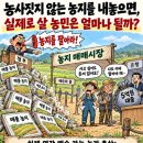 농지를 팔라고 명령하기 전에, 누가 어떤 돈으로 살 것인지부터 정부가 답해야 한다 이미지