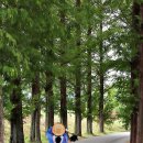 남도문화 답사여행 1차 장흥,송백정 무계고택, 포충사 이미지