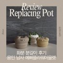 용인 남사 화훼단지 화분 분갈이 후기, 영업시간, 일요일[예삐플라워아울렛]
