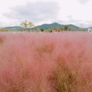 낙동강체육공원 제3주차장 이미지