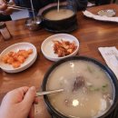 신비면옥 내포점 티스토리
