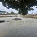 어음2리마을 이미지