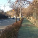 공설운동장 입구 1 이미지