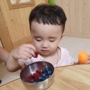 과일놀이터