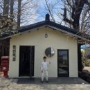 풍경 | 성환 배꽃카페 동민목장, 벚꽃 가고 만난 배꽃나무 풍경 주말 후기