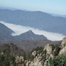 방가방가 이미지