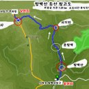 서학로 사거리 티스토리