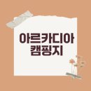 비고리조트 15 | 아르카디아 Southern Sands RV 리조트의 매력은?