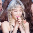 퍼피스타일 이미지