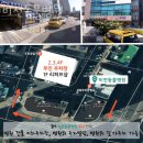 비전동물병원 | 평택시 비전동 동물병원 비전동물병원 위치 오는길 후기