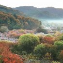 비밀의 정원 이미지